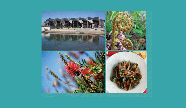 te-anga-mua-header